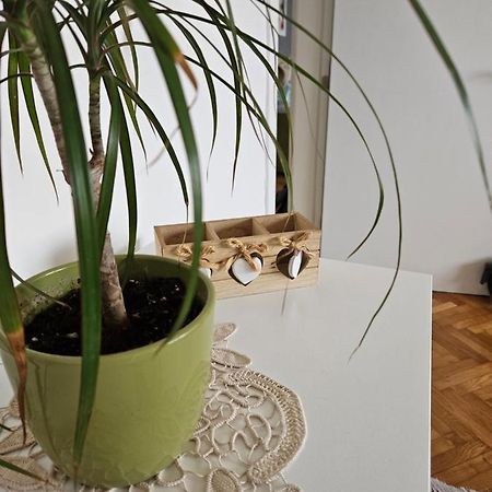 Cosy Apartment In The Heart Of Skopje Extérieur photo